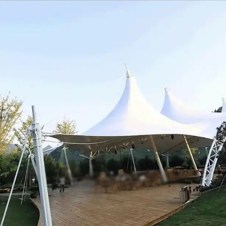 临武县膜结构景观棚